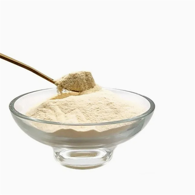 Food Ingredient Thickener CAS 11138-66-2 Xanthan Gum Powder 