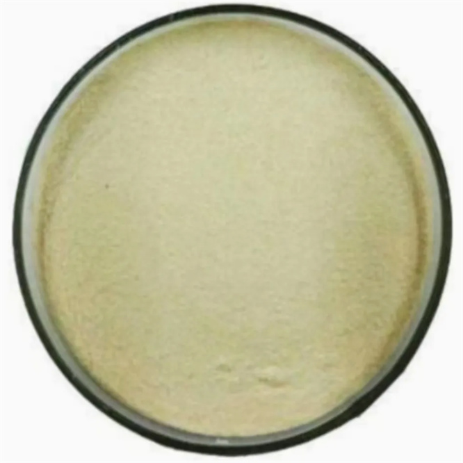 Condiment CAS 11138-66-2 Food Additives Xanthan Gum 