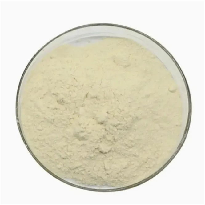 Condiment CAS 11138-66-2 Food Additives Xanthan Gum