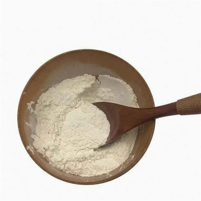 Wholesale Xanthan Gum 80/200 Mesh Food Grade with Attractive Price 