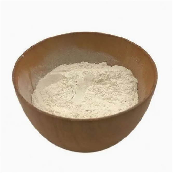 Wholesale Xanthan Gum 80/200 Mesh Food Grade with Attractive Price 