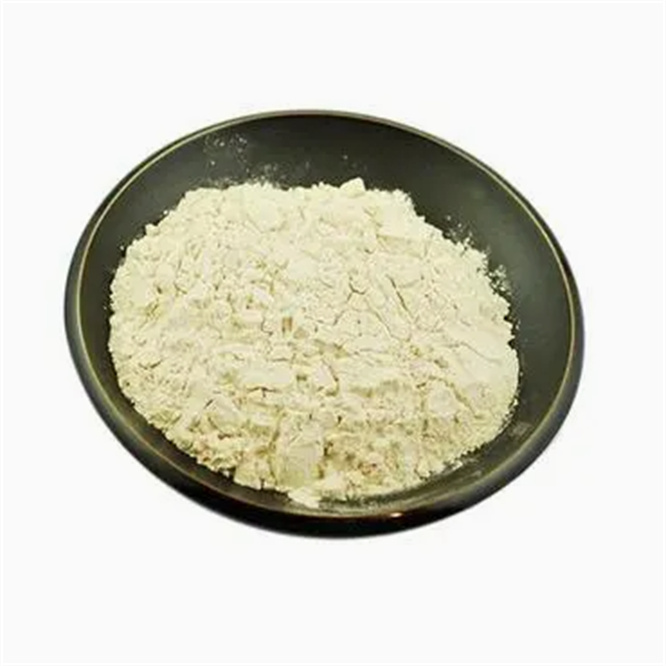 High Quality Food Ingredient Xanthan Gum CAS 11138-66-2 