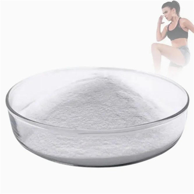 Factory Supply Pure Powder Creatine Monohydrate with Good Price